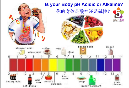 身体酸碱值的信息